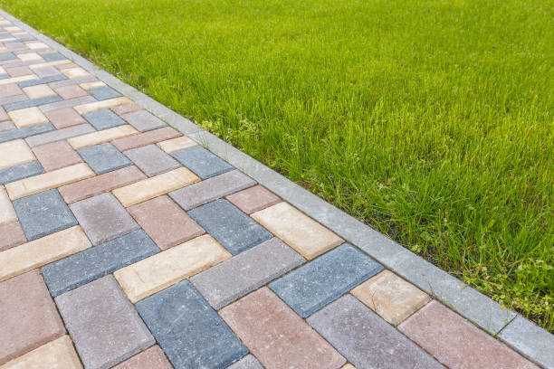 Best Local Driveway Pavers  in Rock Rapids, IA